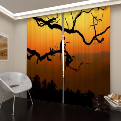 Обезъяна на закате