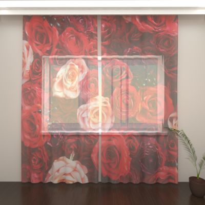 Розы красные