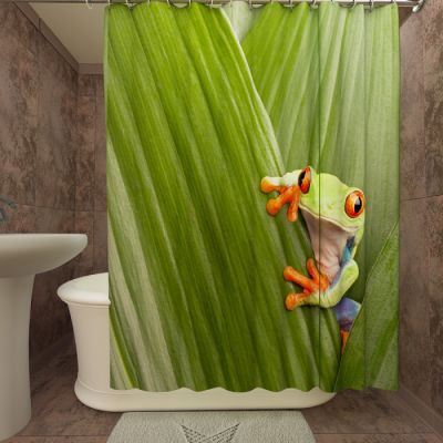 Тропическая лягушка