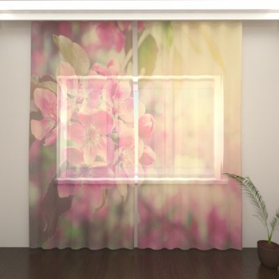 Цветущая вишня 2