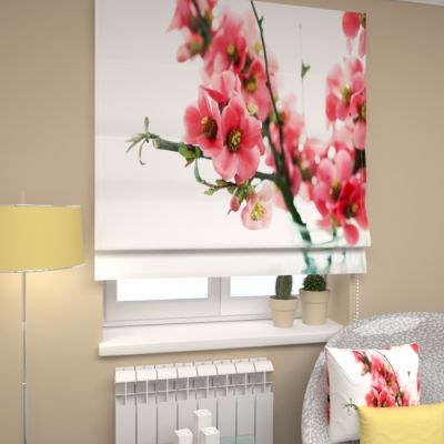 Р Вишня цветет