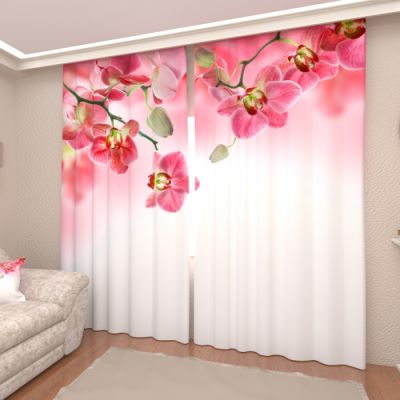 Розовые орхидеи 4