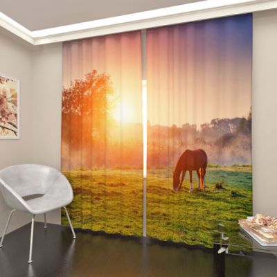 Арабский скакун