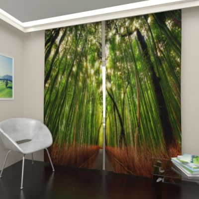 Бамбуковый лес 2