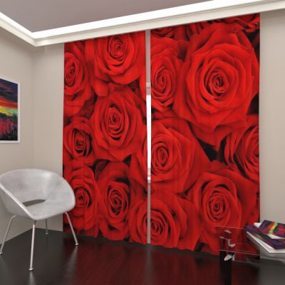 Бордовые розы