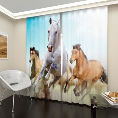 Бегущие лошади 1