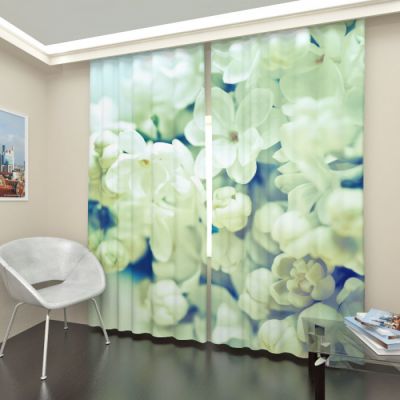 Белые флоксы