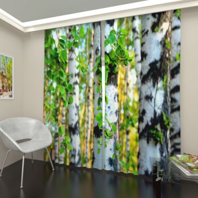 Березовый лес