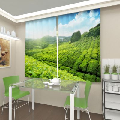 Чайная плантация