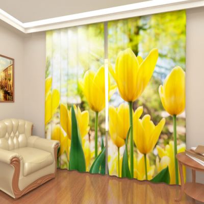 Желтые тюльпаны