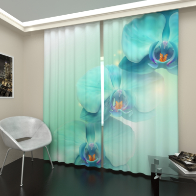 Голубая орхидея