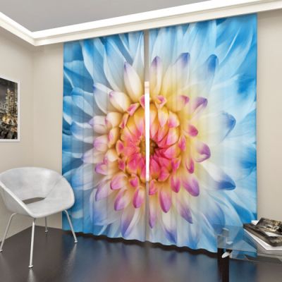 Голубая астра