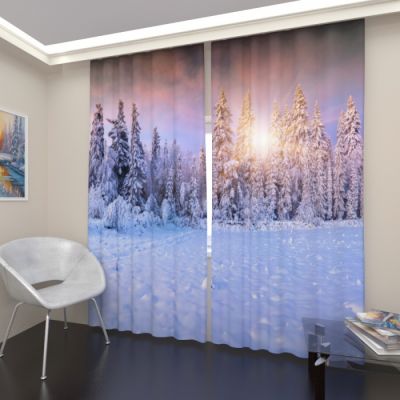 Хвойный зимний лес