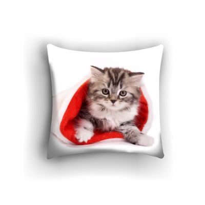 Котенок в колпаке