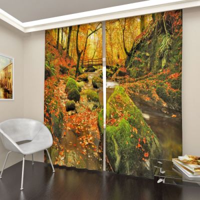 Лесной ручей 1