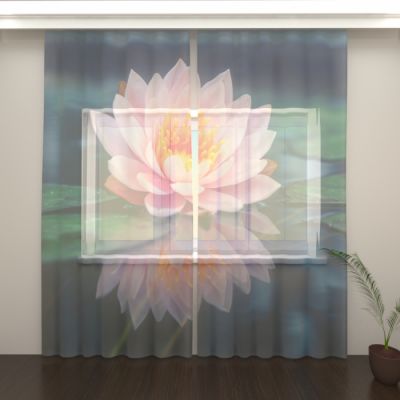 Лилия на воде