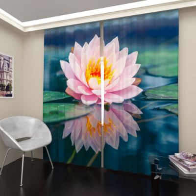 Лилия на воде