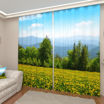 Луг с одуванчиками