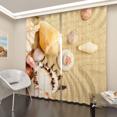 Морские раковины