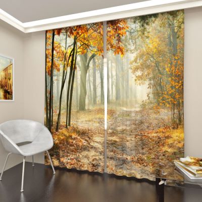 Осенний лес