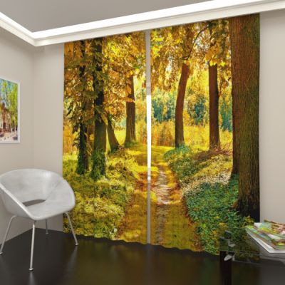 Осенний лес 2