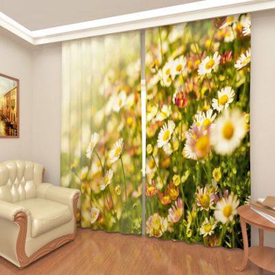 Полевые ромашки