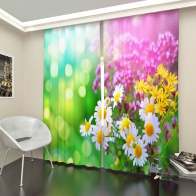 Полевые цветы 1