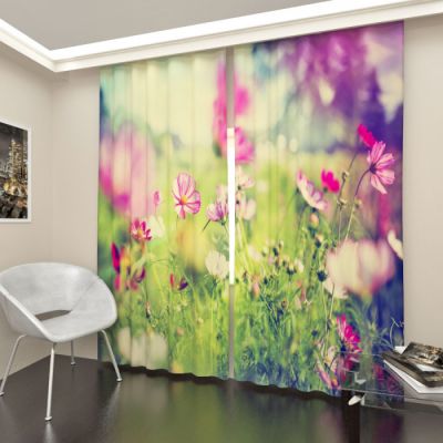 Полевые цветы 2