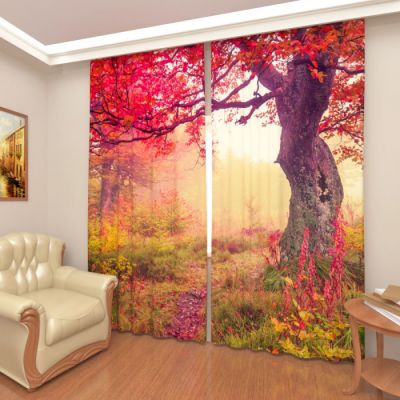 Прогулка по лесу