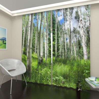 Прогулка по лесу 2