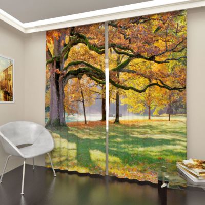 Ранняя осень