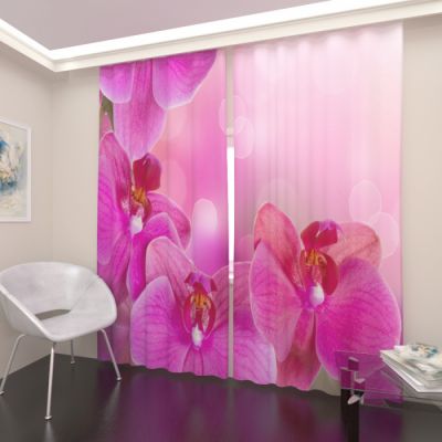 Розовая орхидея