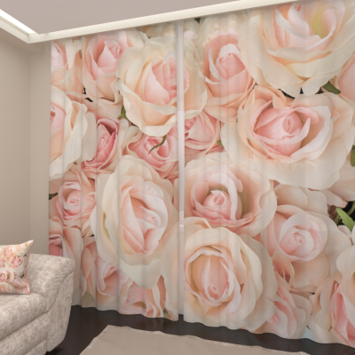 Розовые розы 4