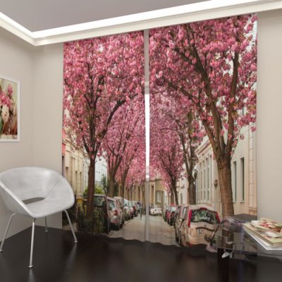 Сакура в Германии