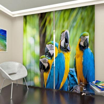 Сидящие ара