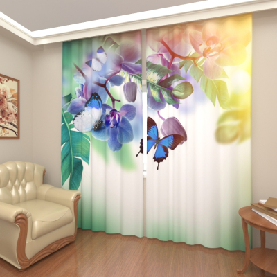 Синий махаон, Блэкаут