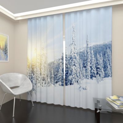 Снежный лес 1