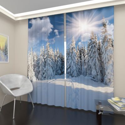 Снежный лес 2