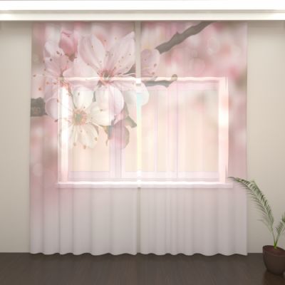 Соцветие вишни