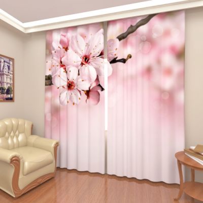 Соцветие вишни