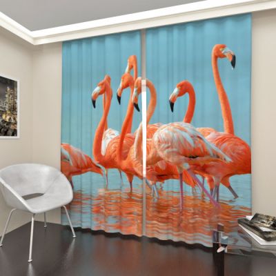 Стая фламинго