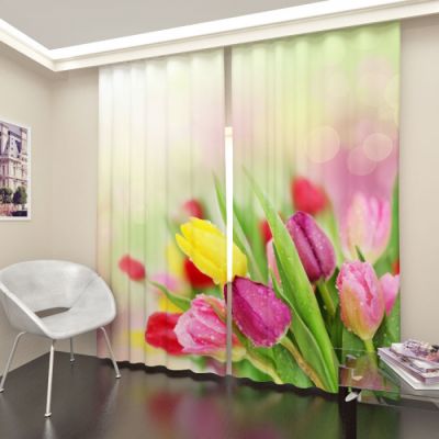 Свежие тюльпаны