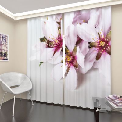 Цветки яблони