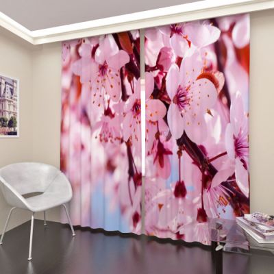 Цветущая сакура 1