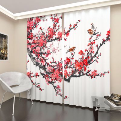 Цветущая сакура 7