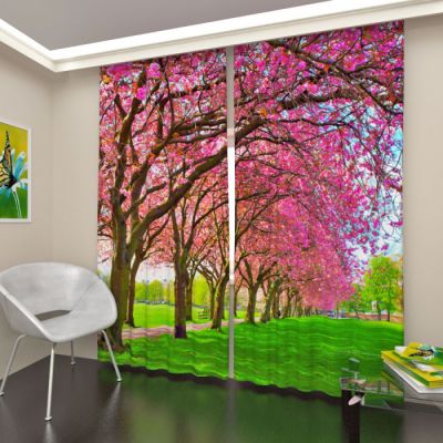 Цветущая слива