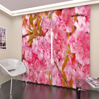 Цветущая вишня 1