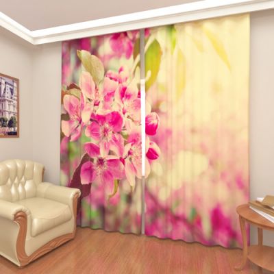 Цветущая вишня 2