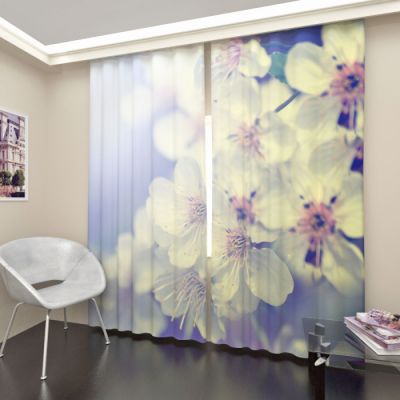 Цветущая яблоня