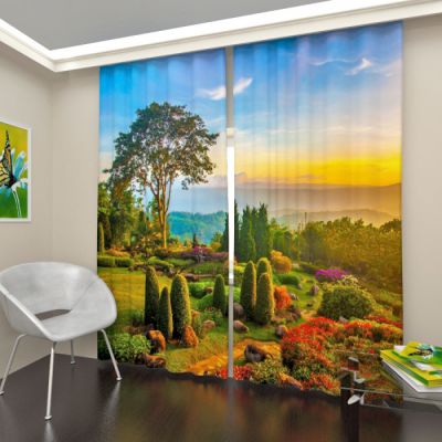 Утренний сад